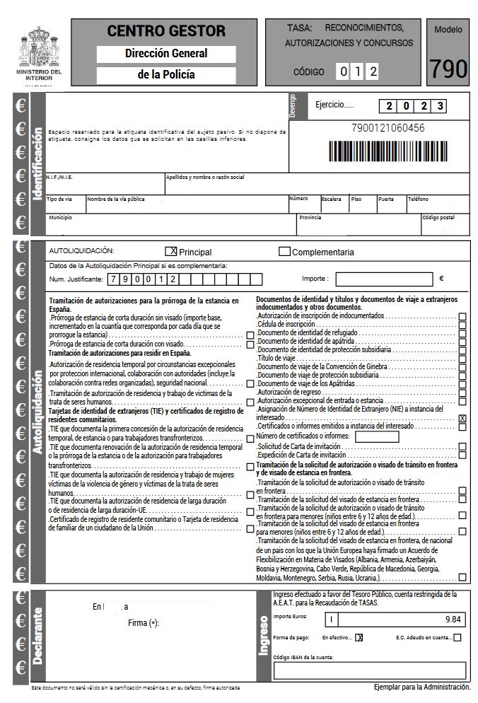 Example of form 790 TIE card tax